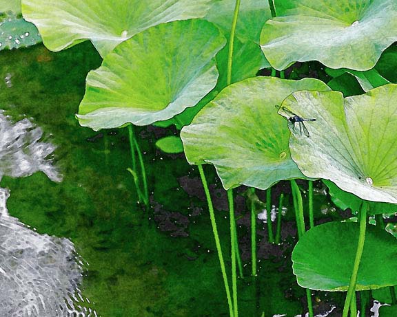 芦屋プラン株式会社 宇治市植物公園